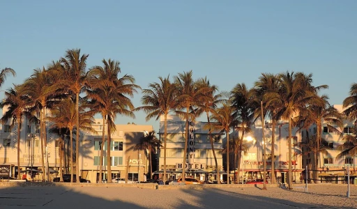 Beyond the view: How do Miami's luxury oceanfront hotels enhance your stay?